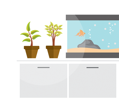 plants